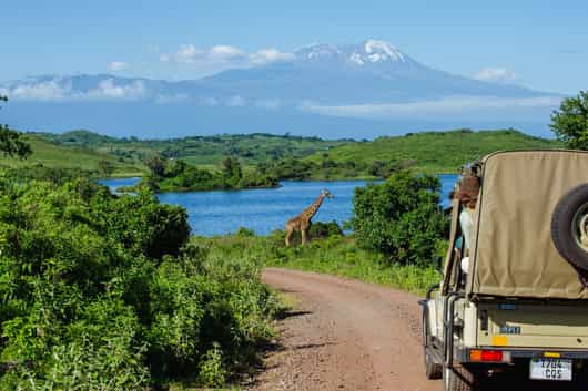 Game drive in Arusha National Park