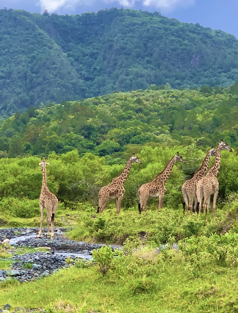 Arusha National Park