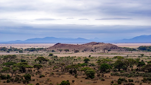 Photography in Arusha National Park