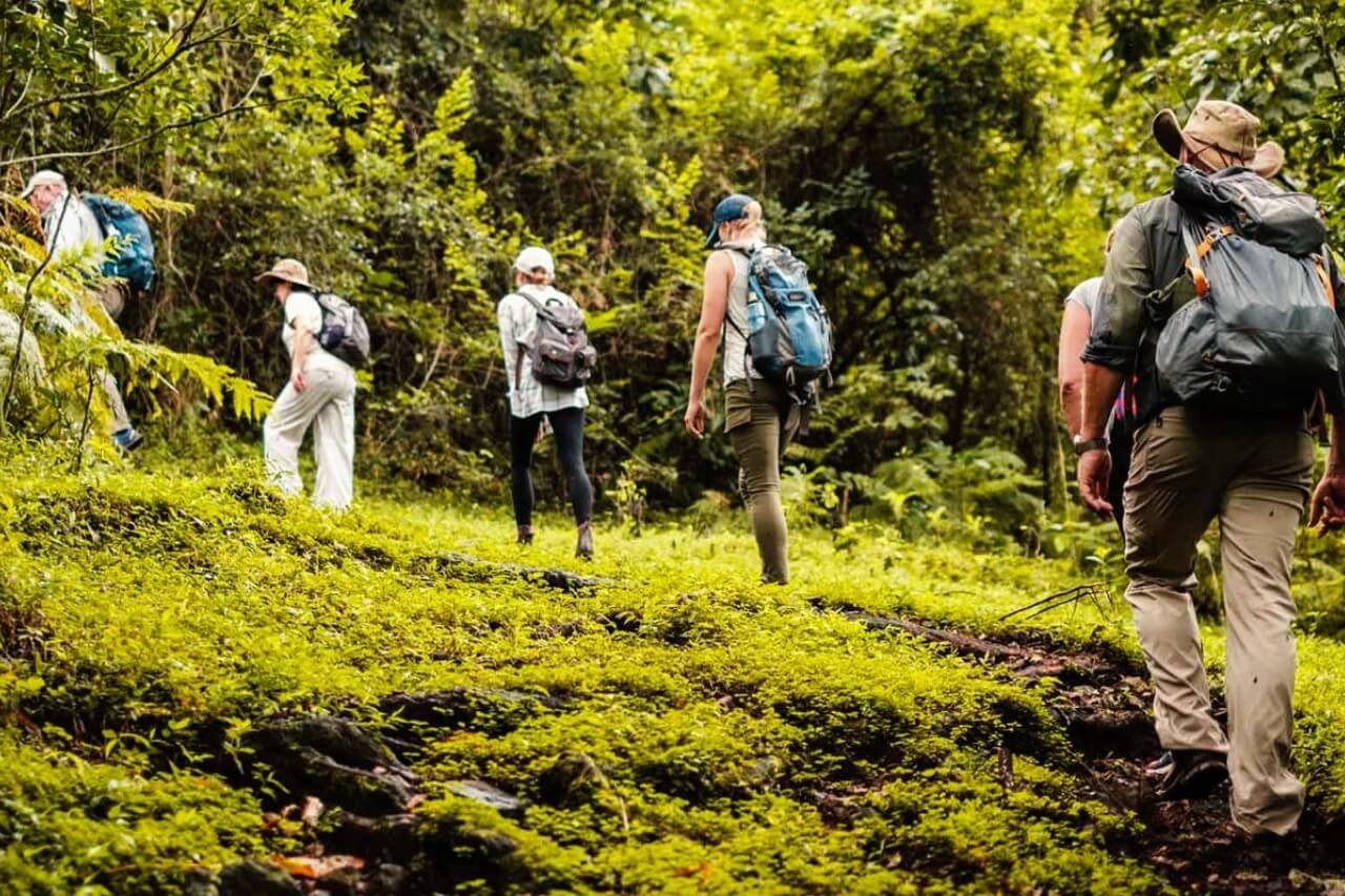 Walking experience in Arusha National Park