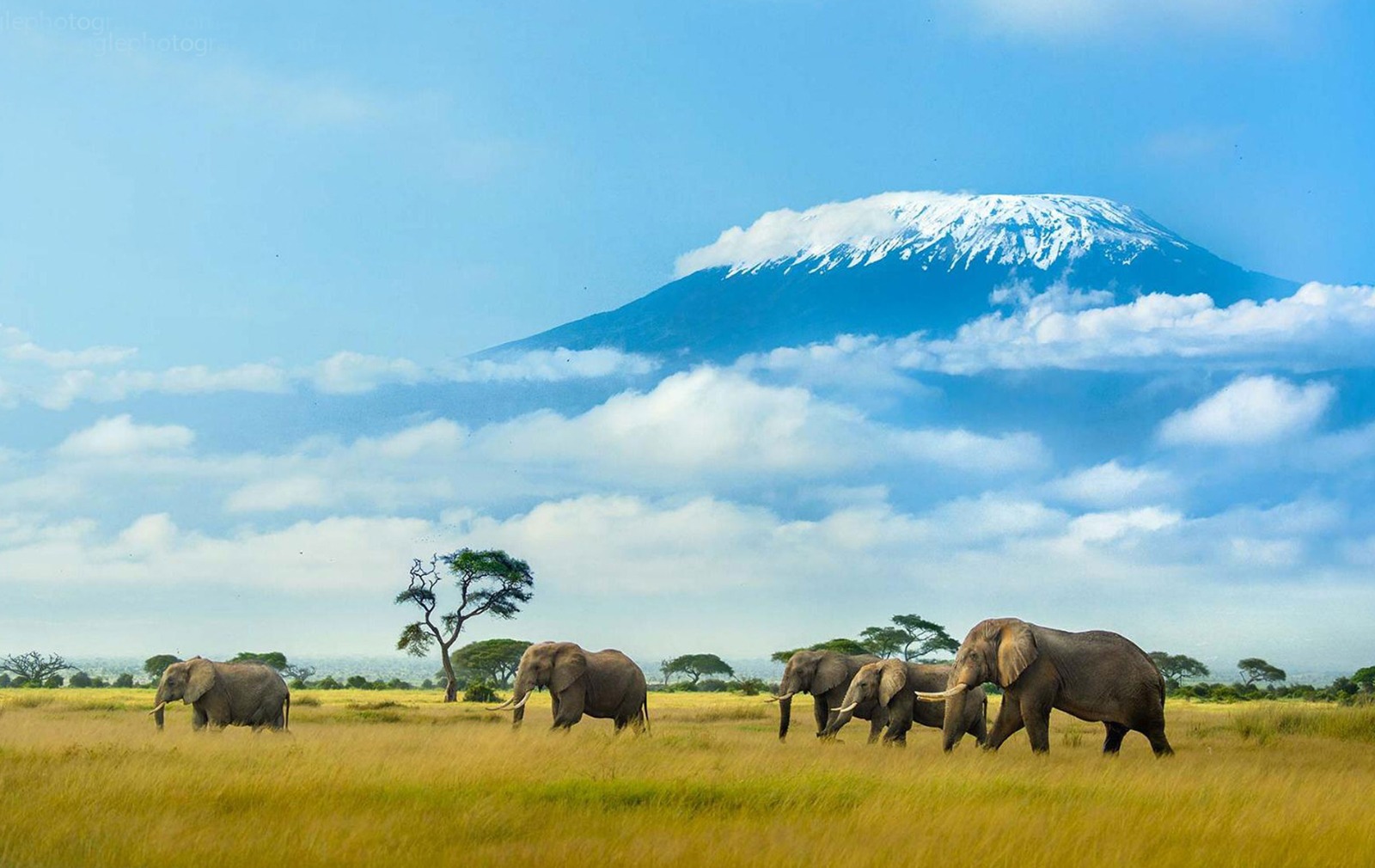 Tanzania landscape