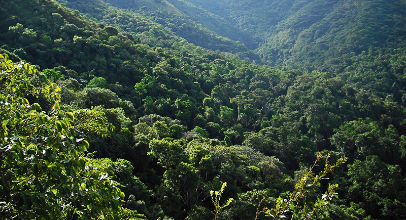 Gombe National Park