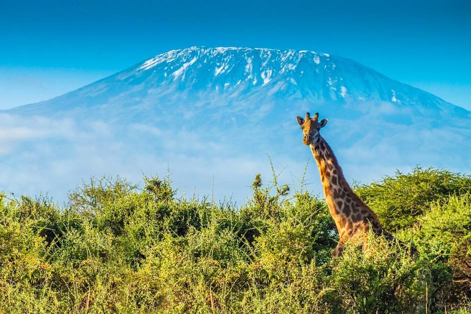 Kenya