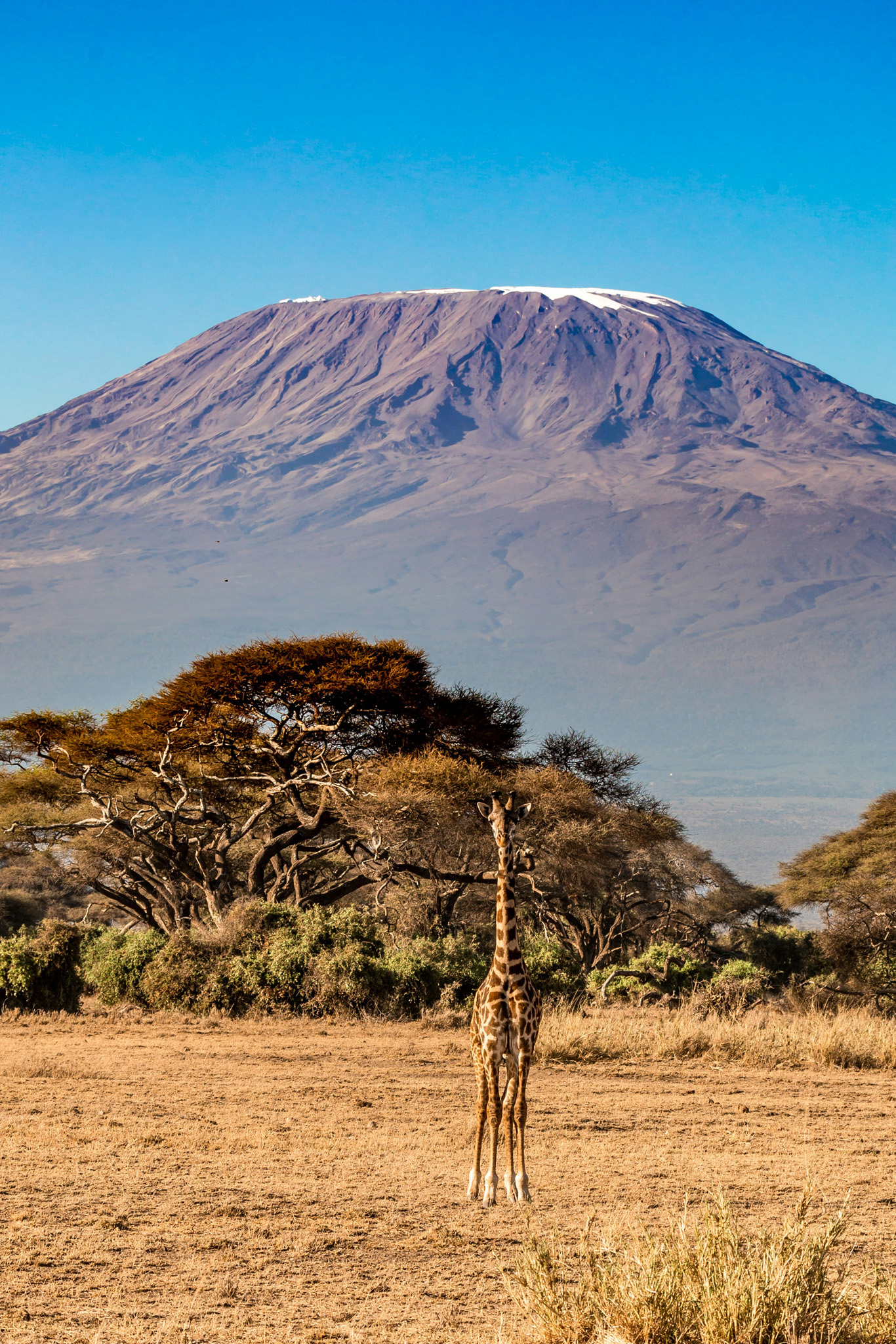Kilimanjaro climbing experience