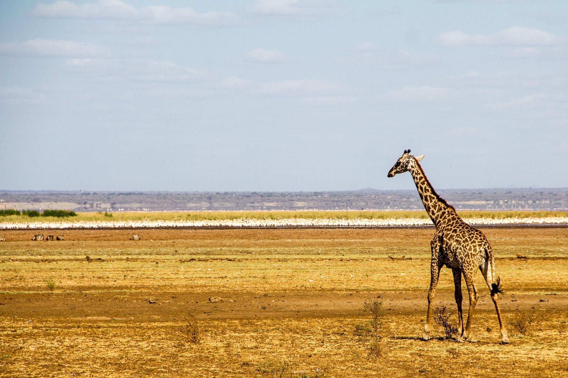 Lake Manyara