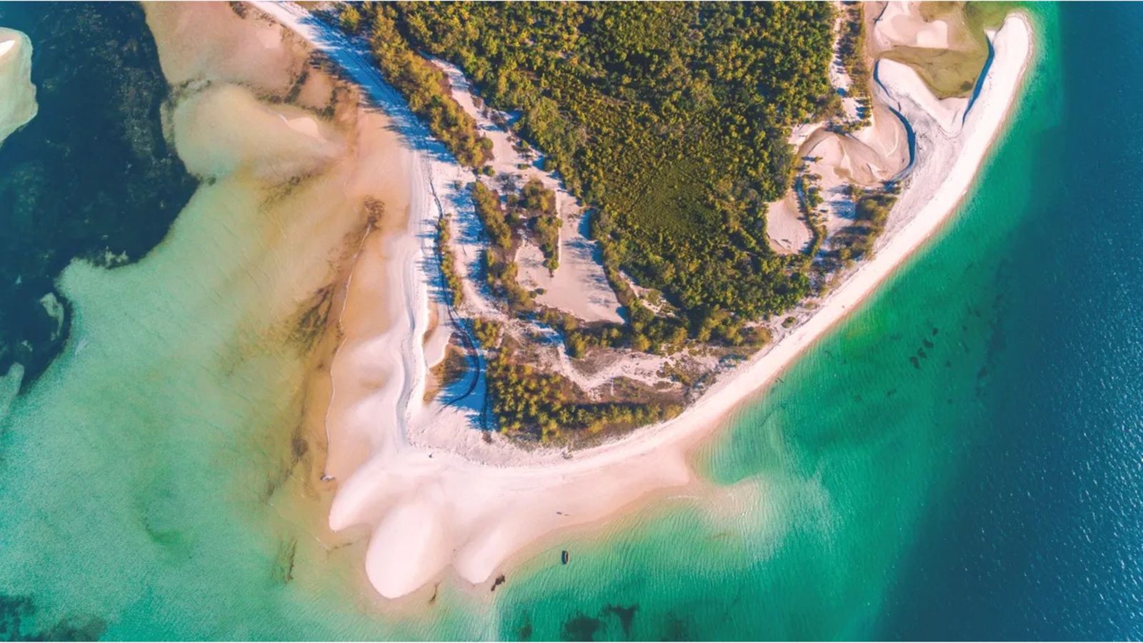 Mafia Island coastline in Tanzania