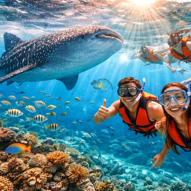 Snorkeling in Mafia Island
