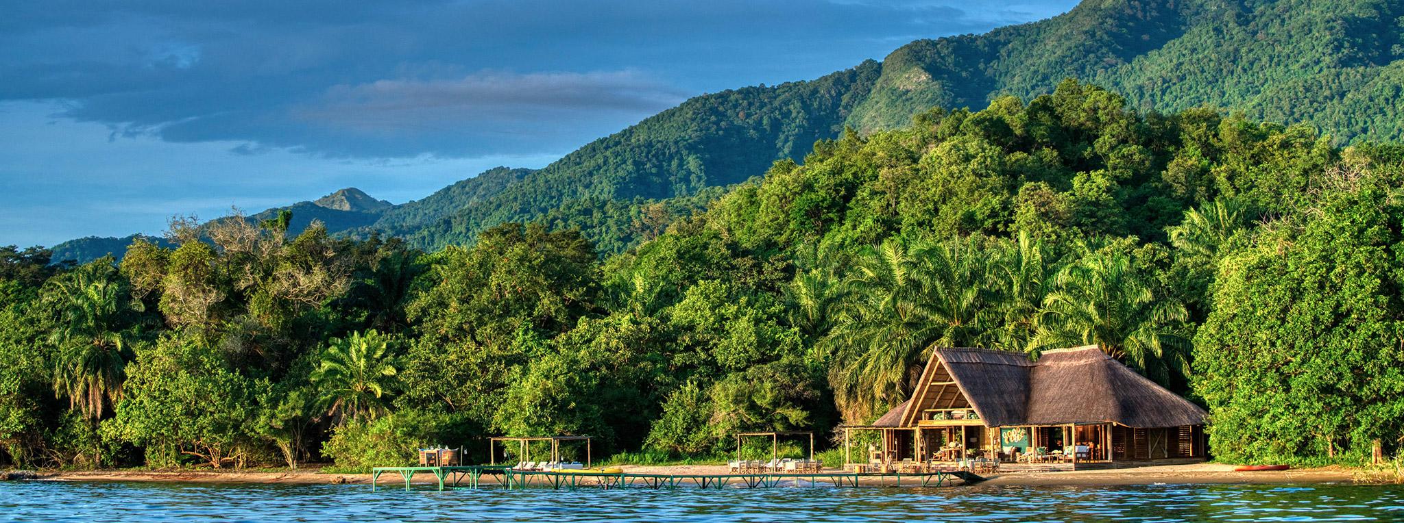 Rainforest in Mahale Mountains National Park
