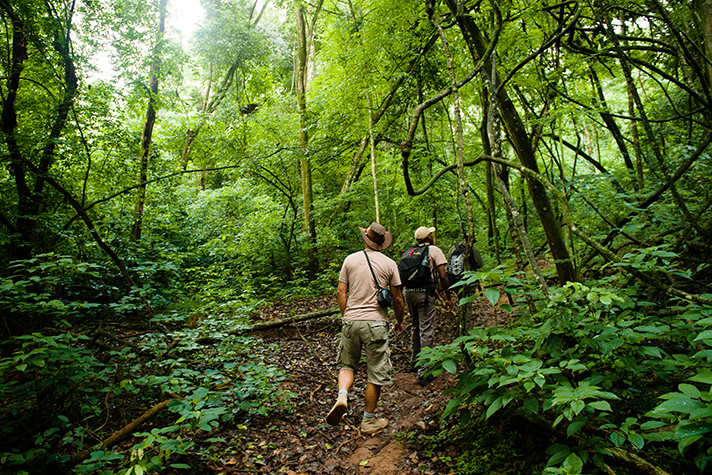 Hiking through Mahale Mountains National Park