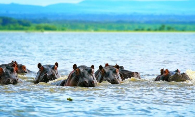 Lake Manyara