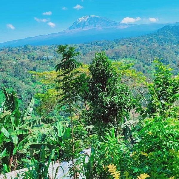 Village discovery experience in Materuni