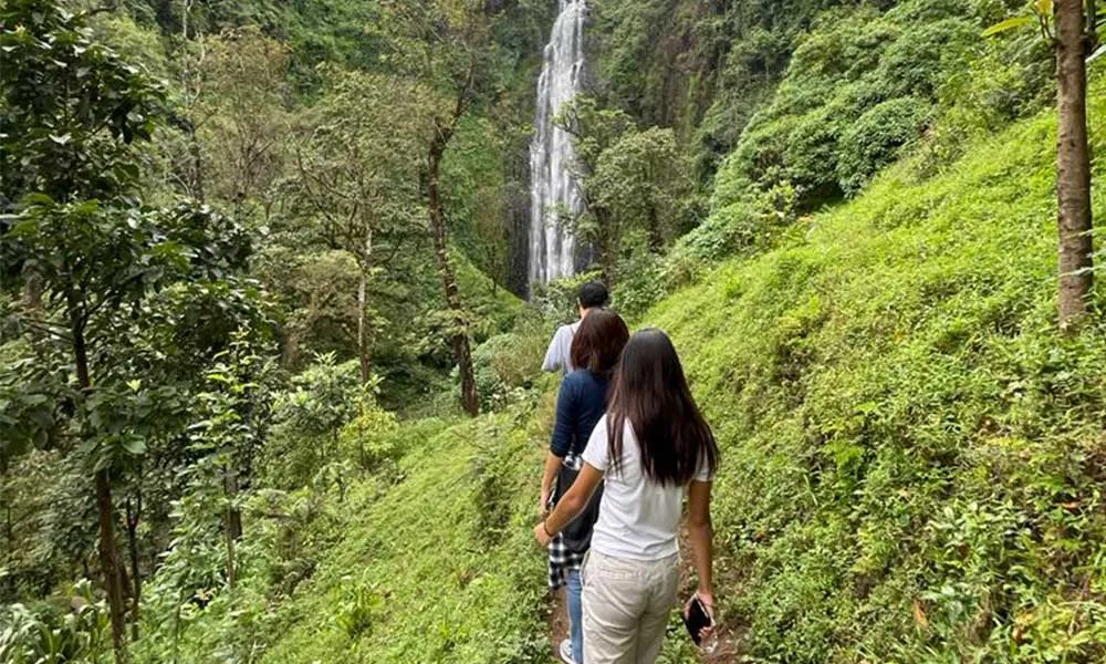 Walking trail to Materuni Waterfall