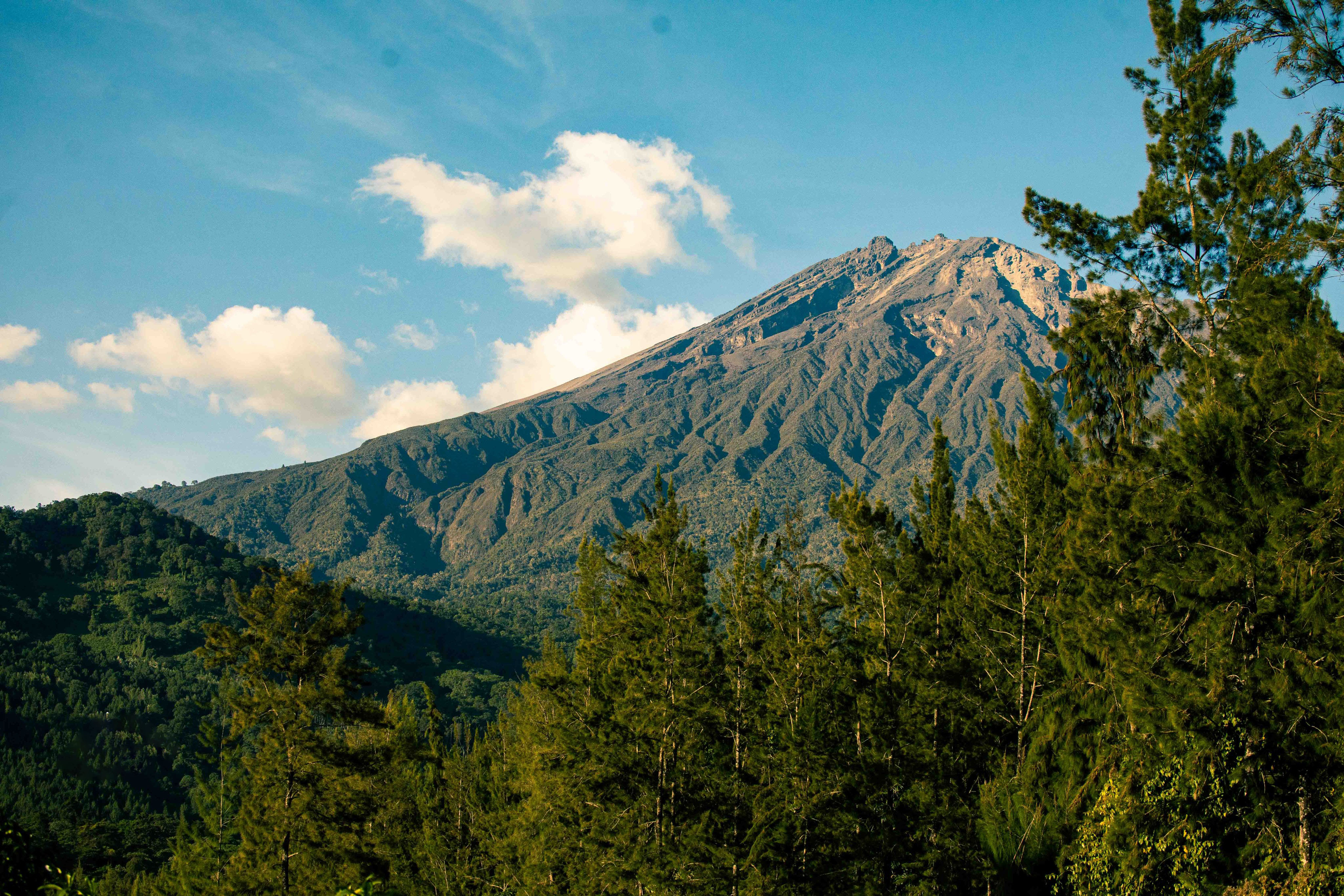 Mount Meru in Arusha National Park