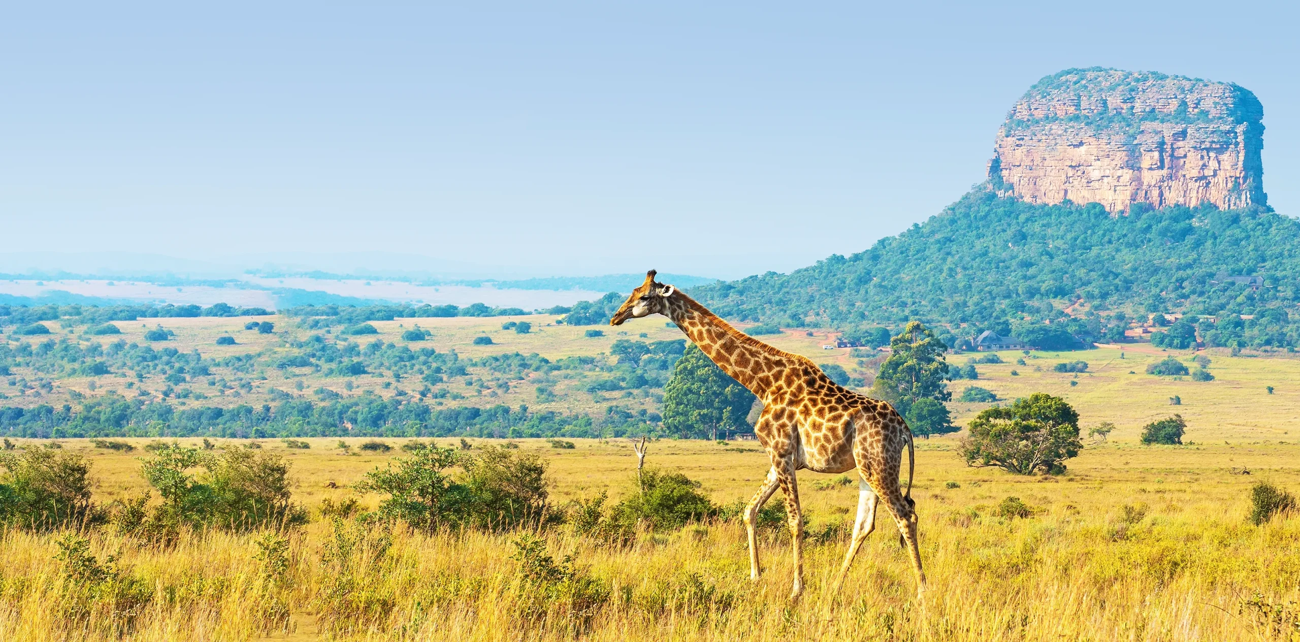 Exploring the Ngorongoro highlands