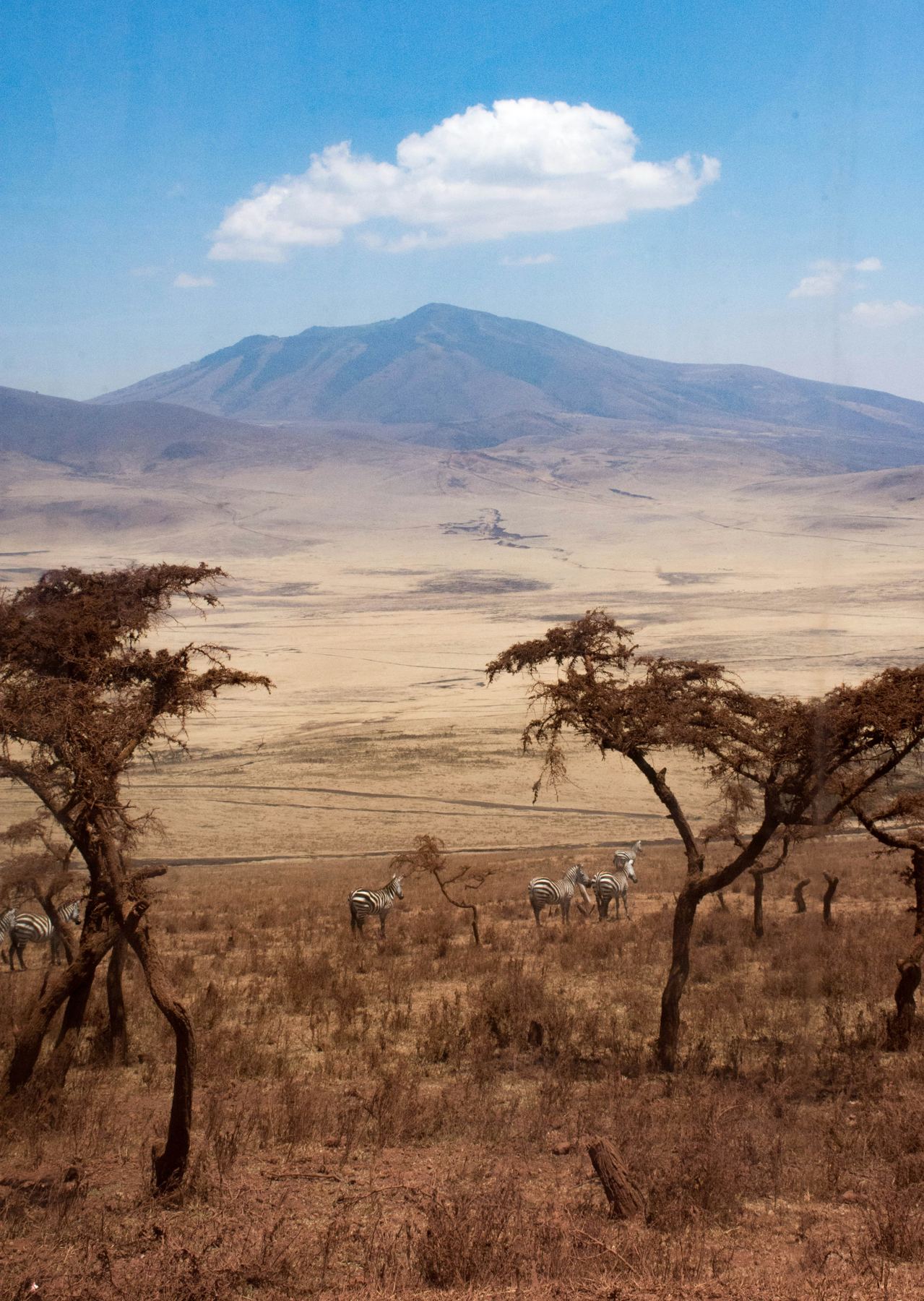 Ngorongoro highlands