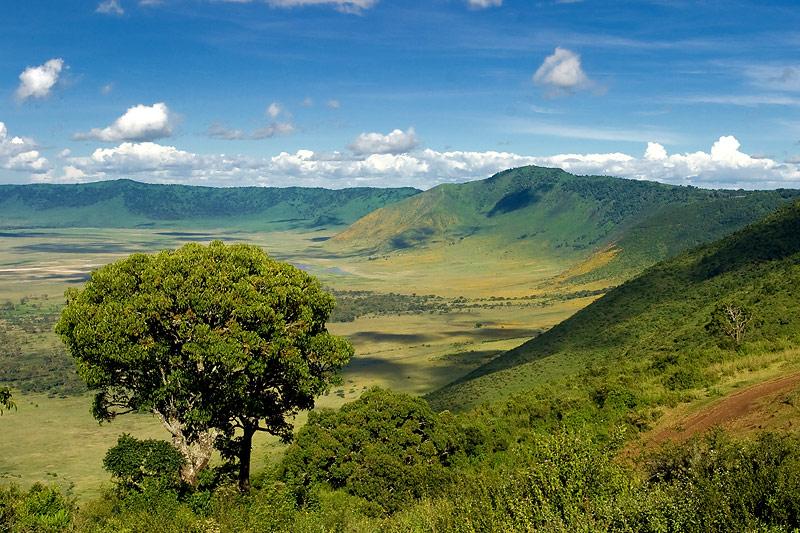 Ngorongoro safari landscape