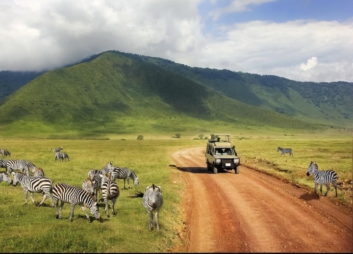 Safari landscape in Ngorongoro