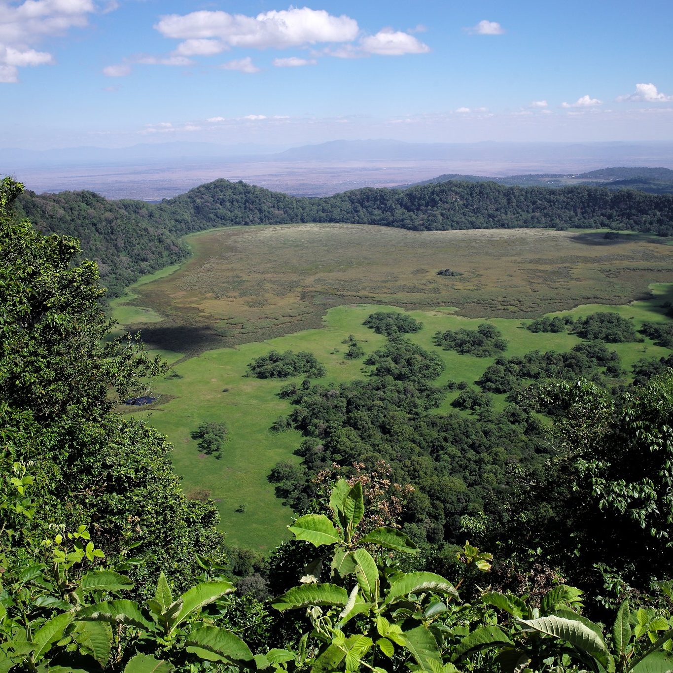 Ngurdoto Crater in Arusha National Park