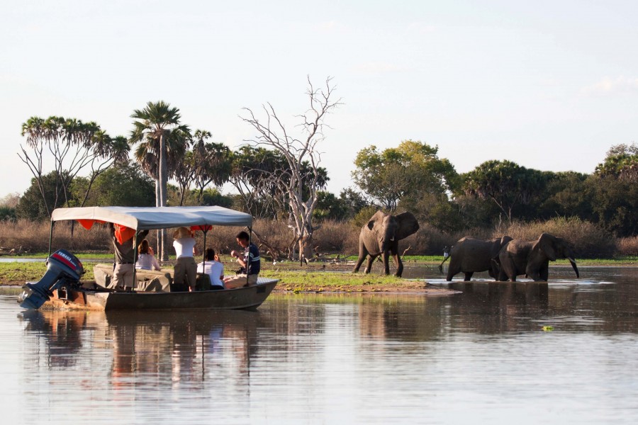 Boat safari on the Rufiji River