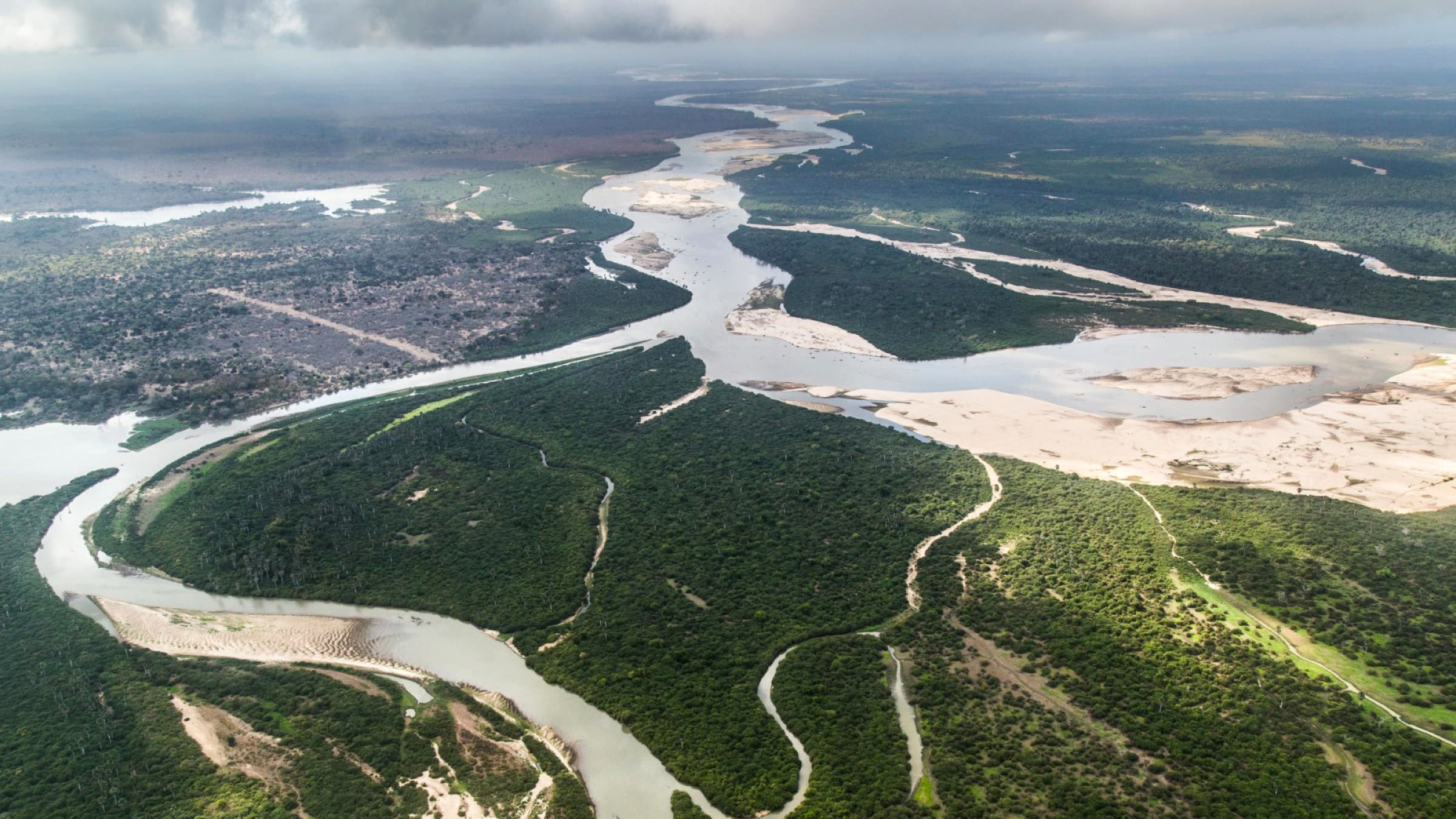 Nyerere National Park landscape