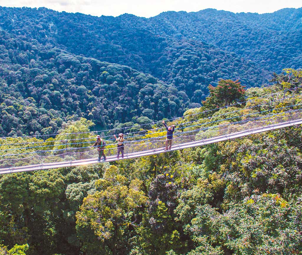 Nyungwe Forest Rwanda