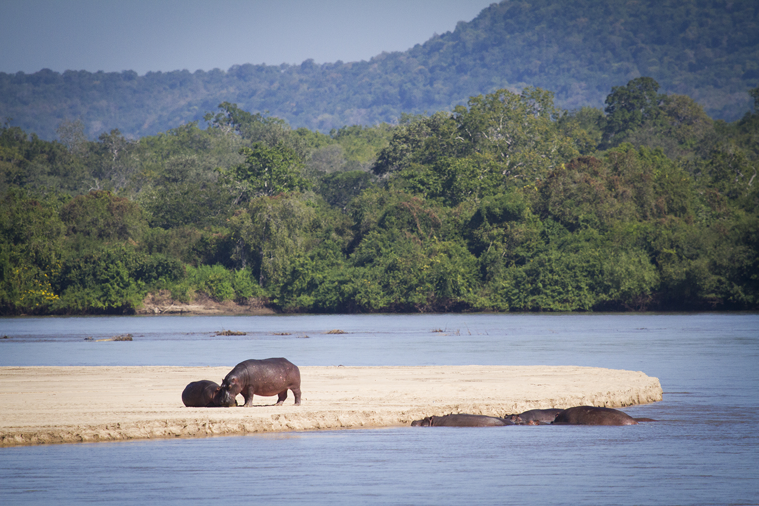 Rufiji River in Nyerere National Park