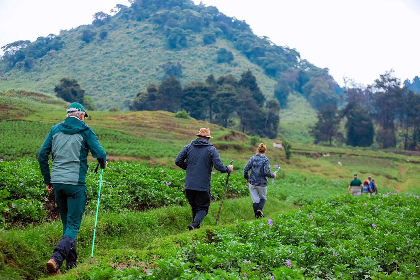 Hiking in Rwanda