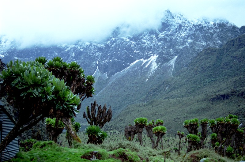Rwenzori Mountains in Uganda