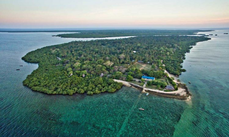 Safari and Mafia Island combination