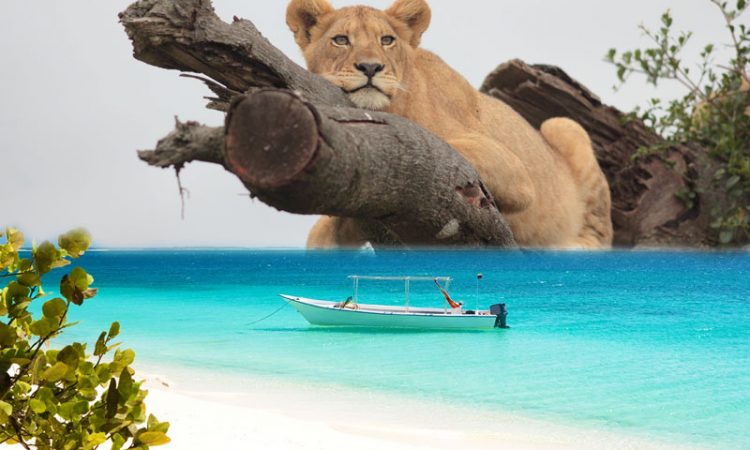 Safari and Zanzibar combination