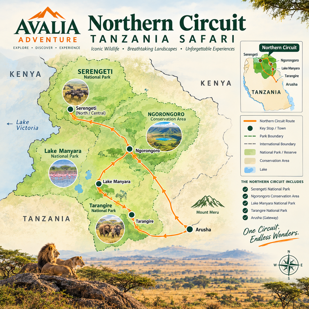 Safari exploration in Serengeti