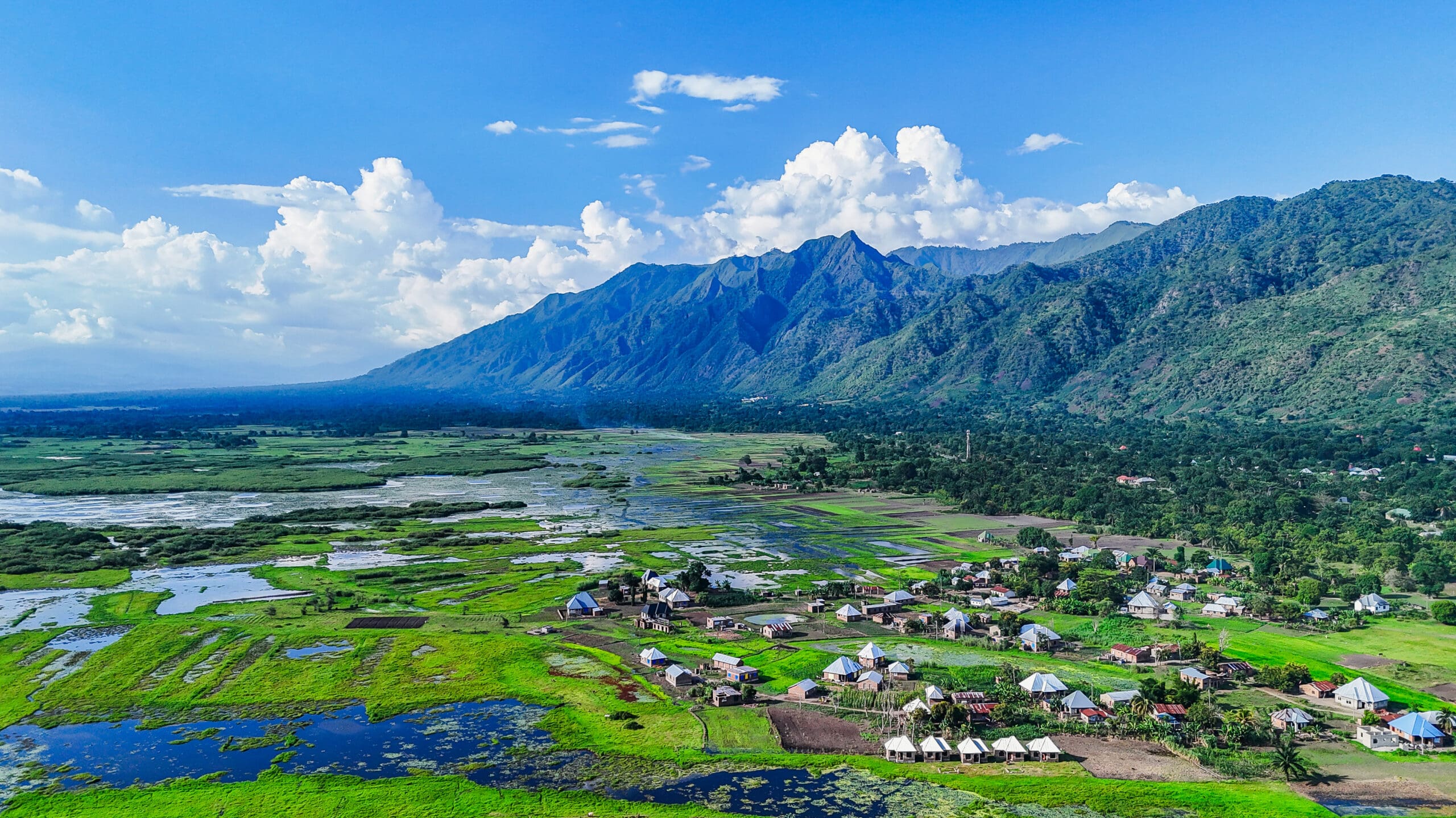 Southern Tanzania safari landscape