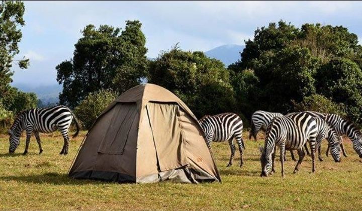 Safari camping in Tanzania