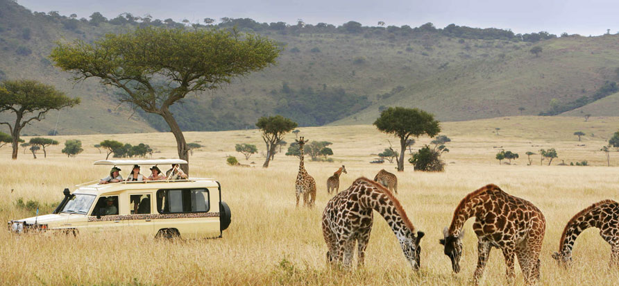 Game drive in Tanzania
