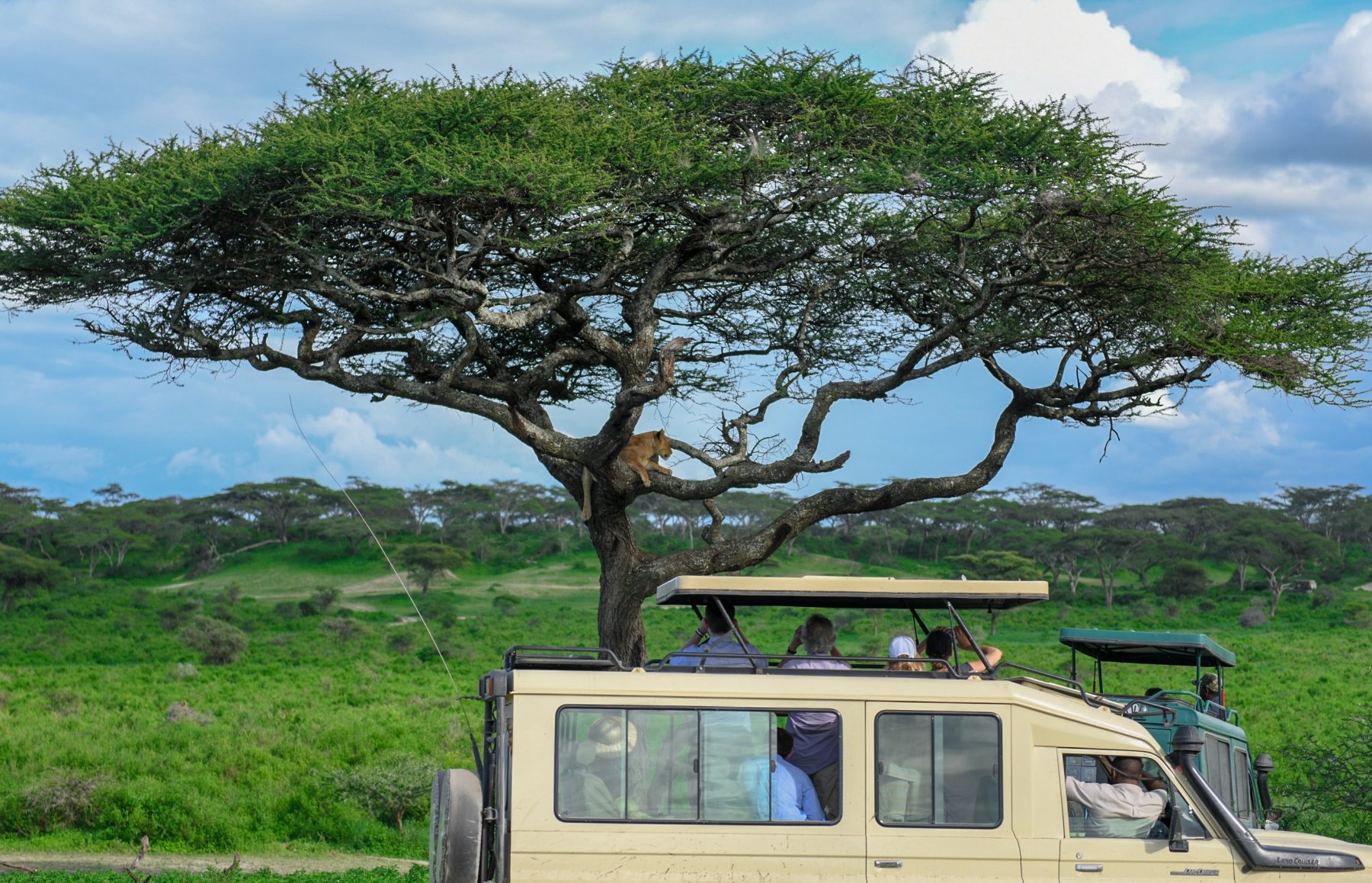 Group safari in Tanzania