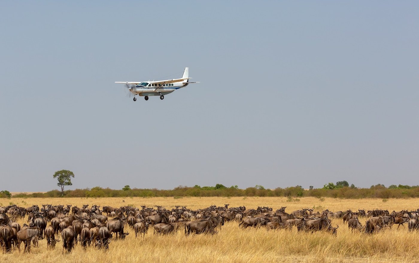 Private safari in Tanzania