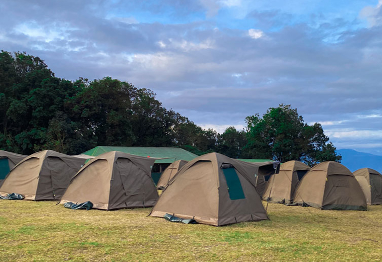 Tailor-made Tanzania safari