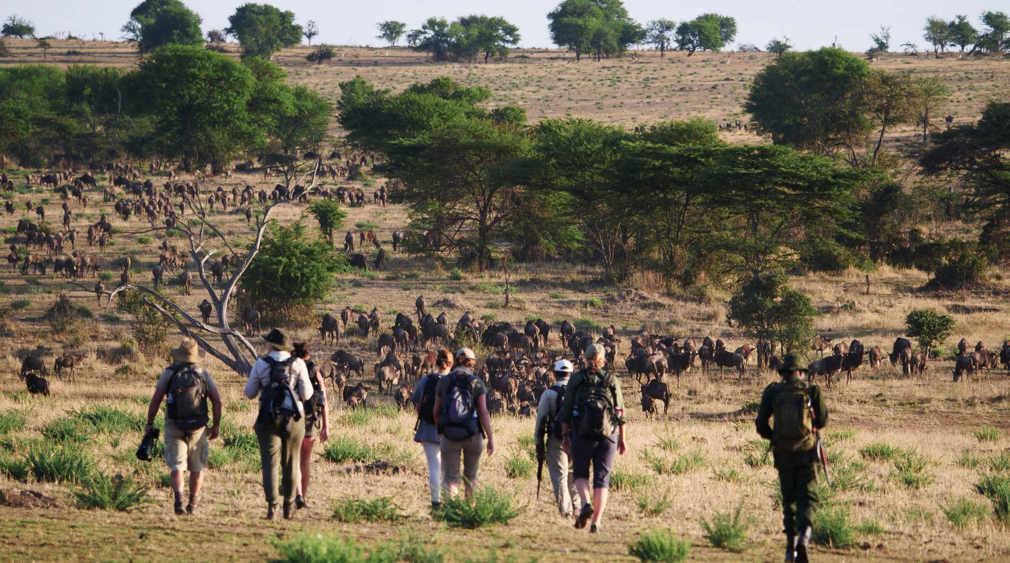 Walking safari in Tanzania