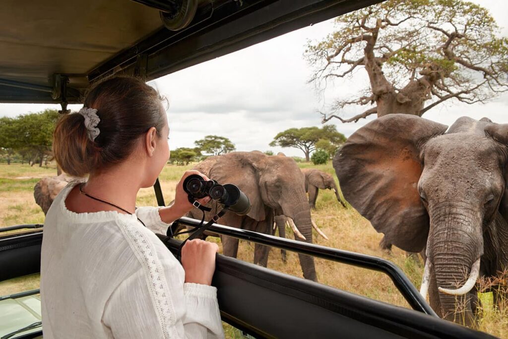 Wildlife photography safari in Tanzania