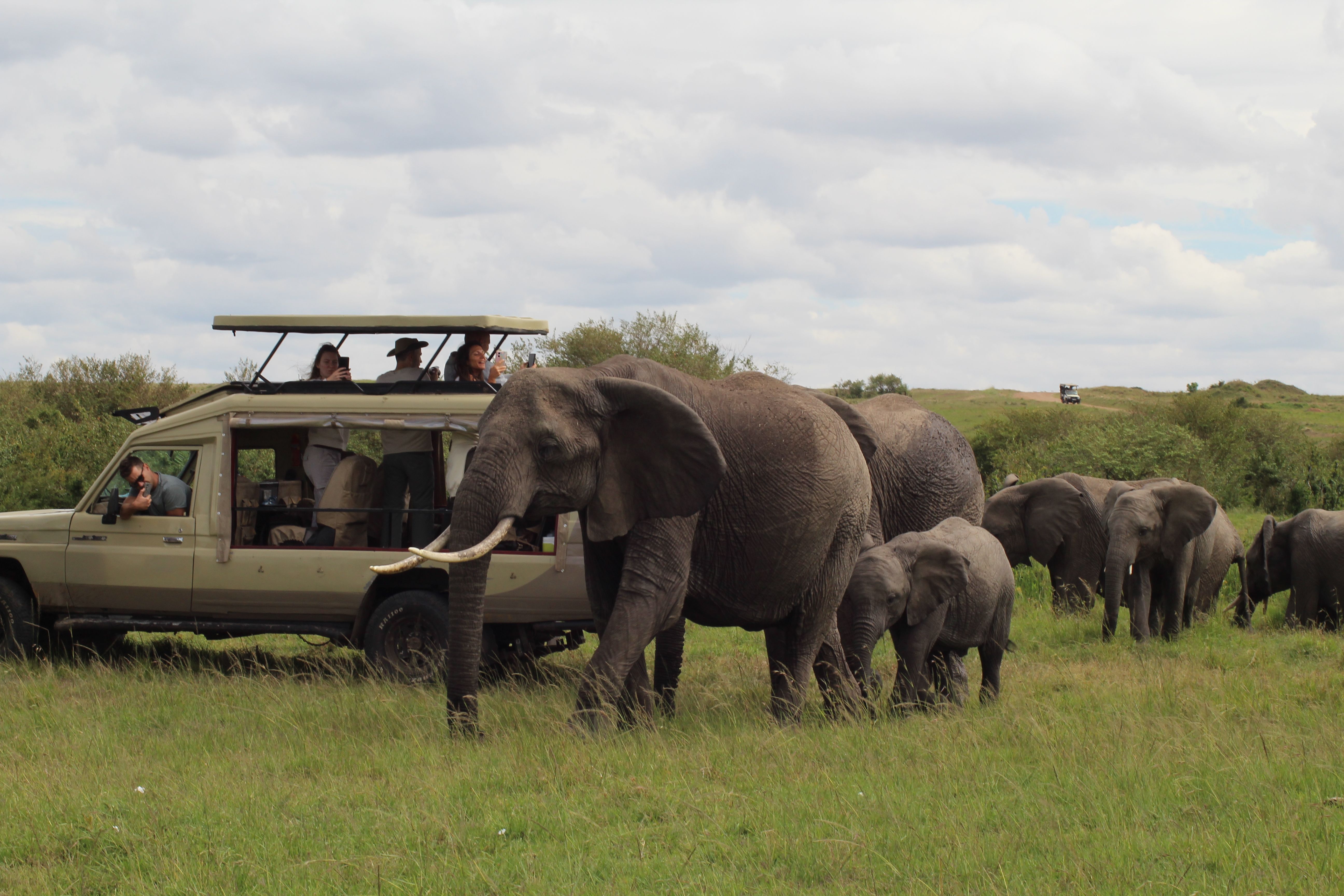 Game drive in Tarangire National Park