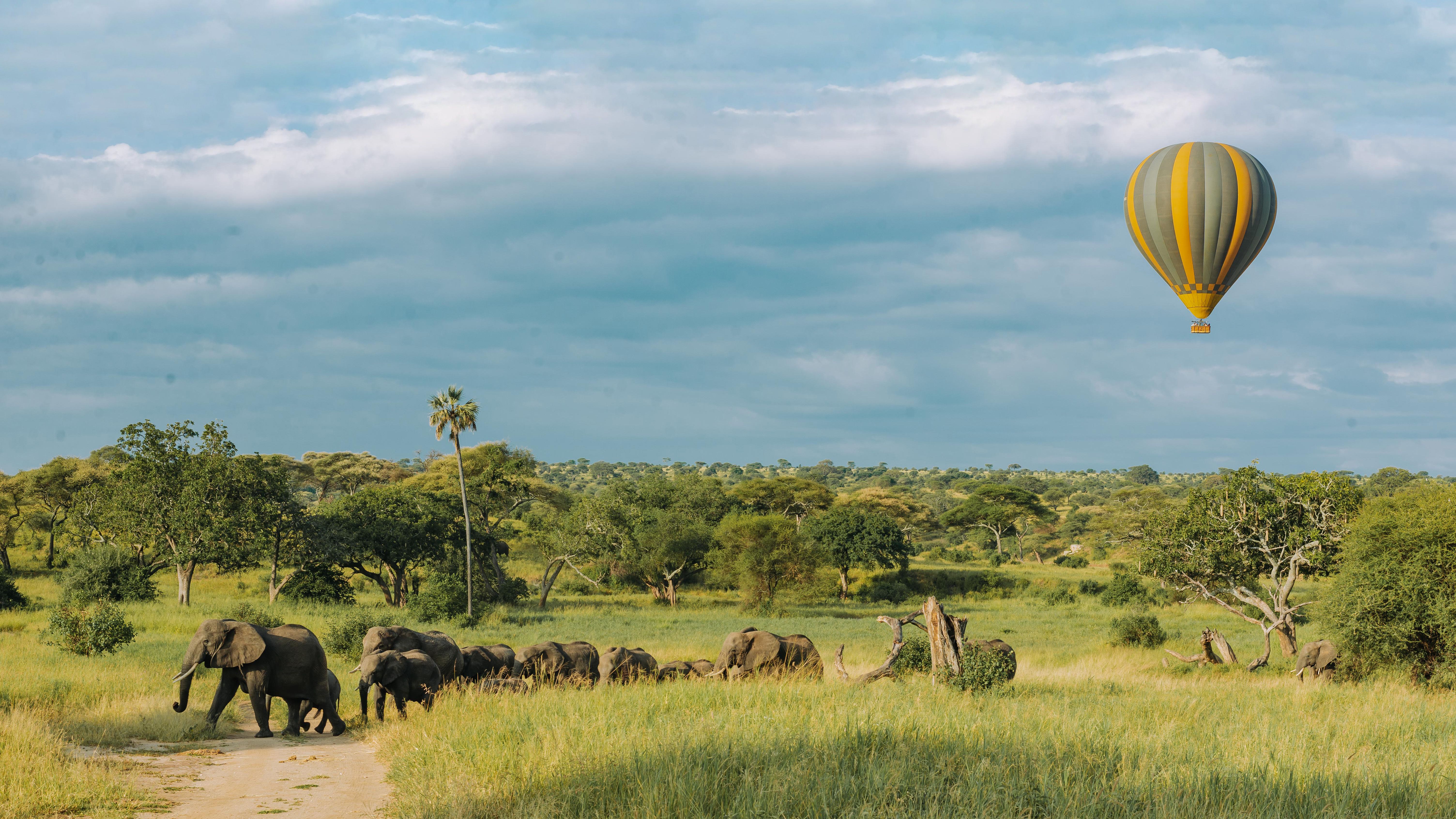 Tarangire National Park landscape in Tanzania