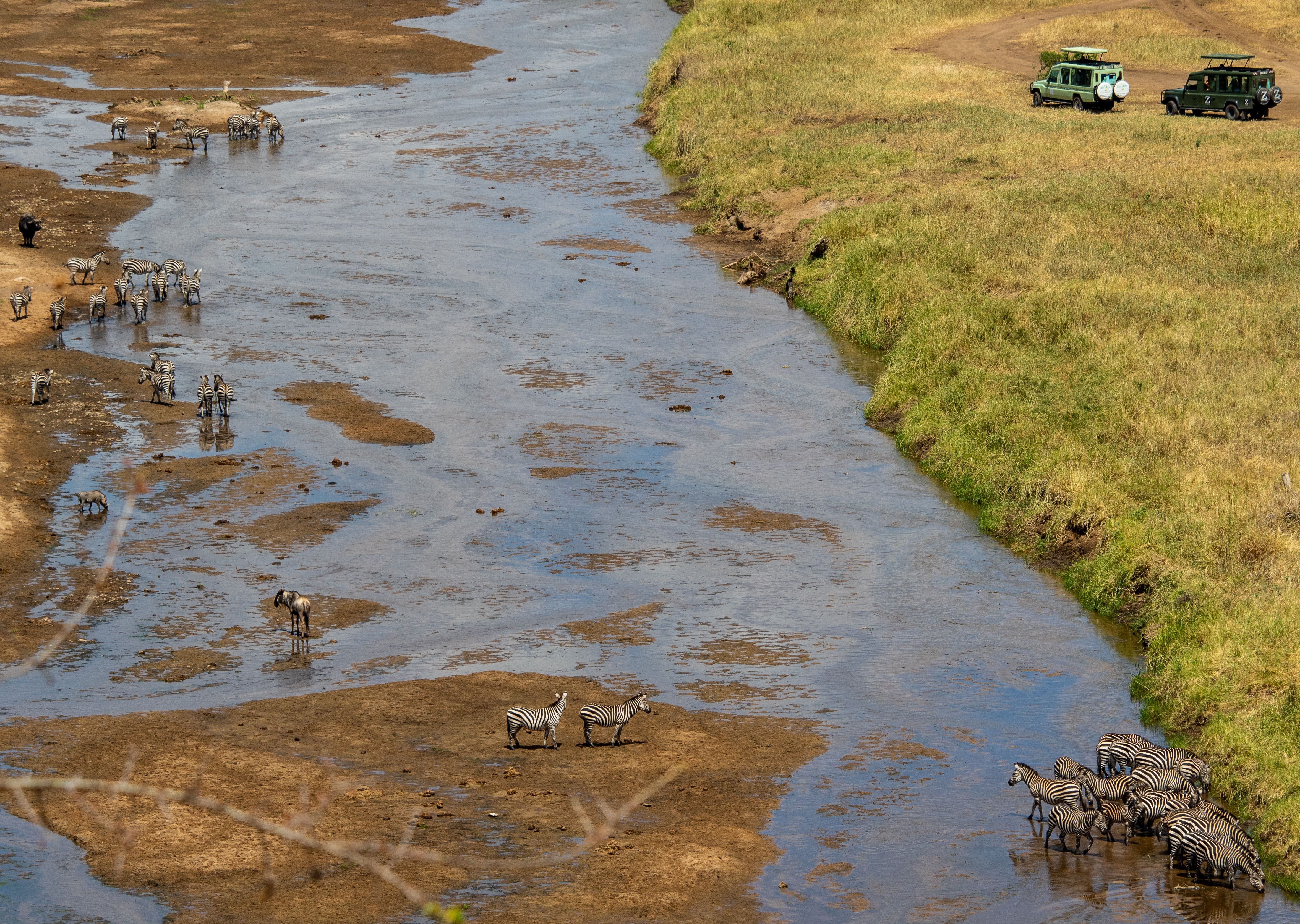 Tarangire River and surrounding landscape
