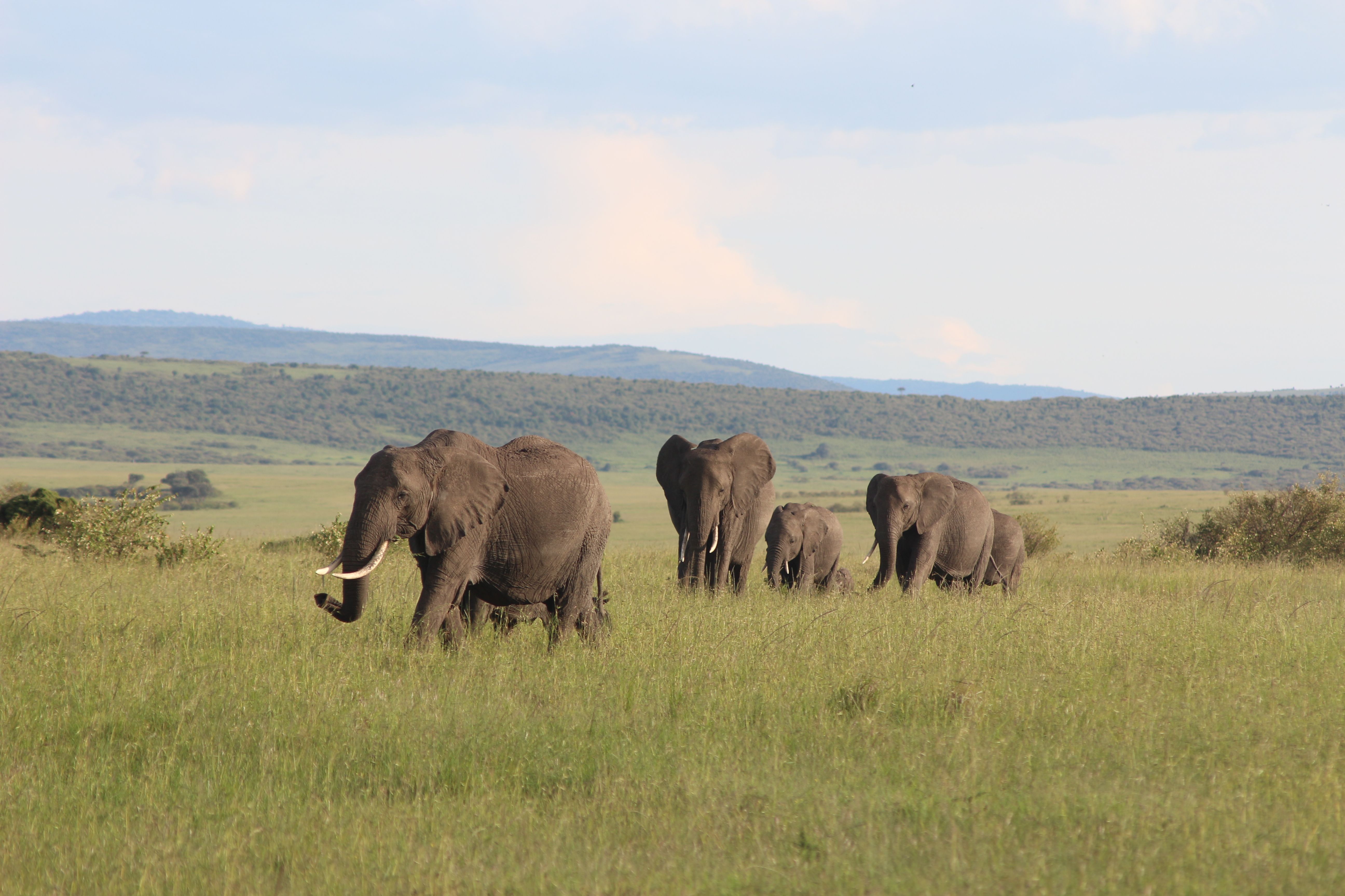 Scenic Tarangire safari landscape