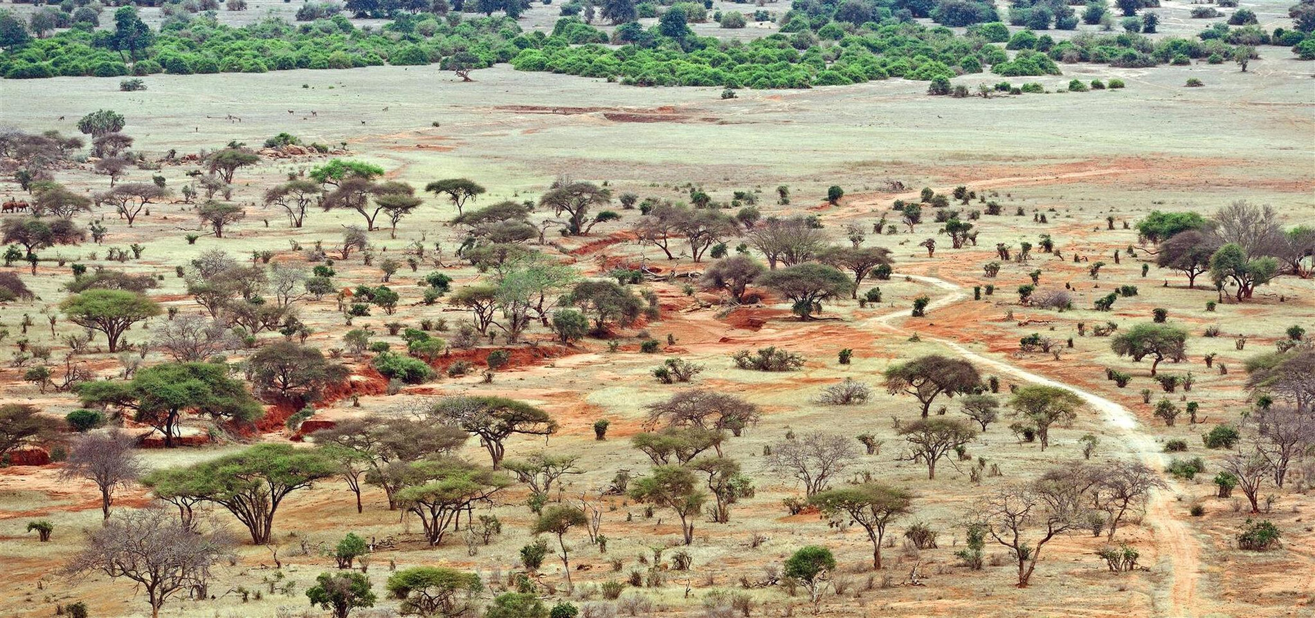 Tsavo National Park Kenya