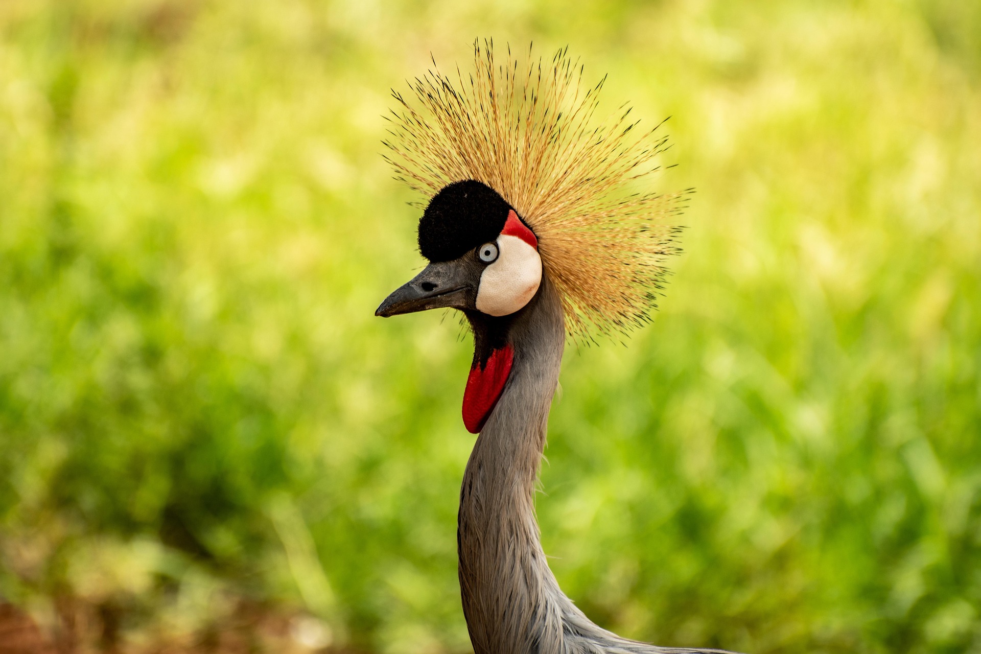 Uganda
