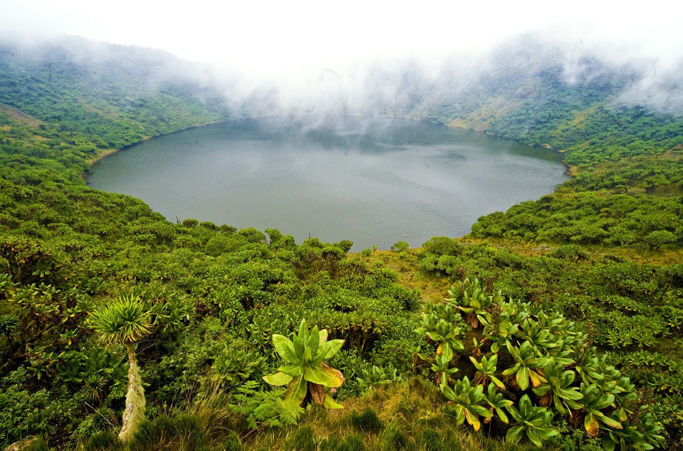 Volcanoes National Park Rwanda