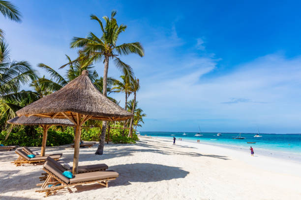 Beautiful Zanzibar beach
