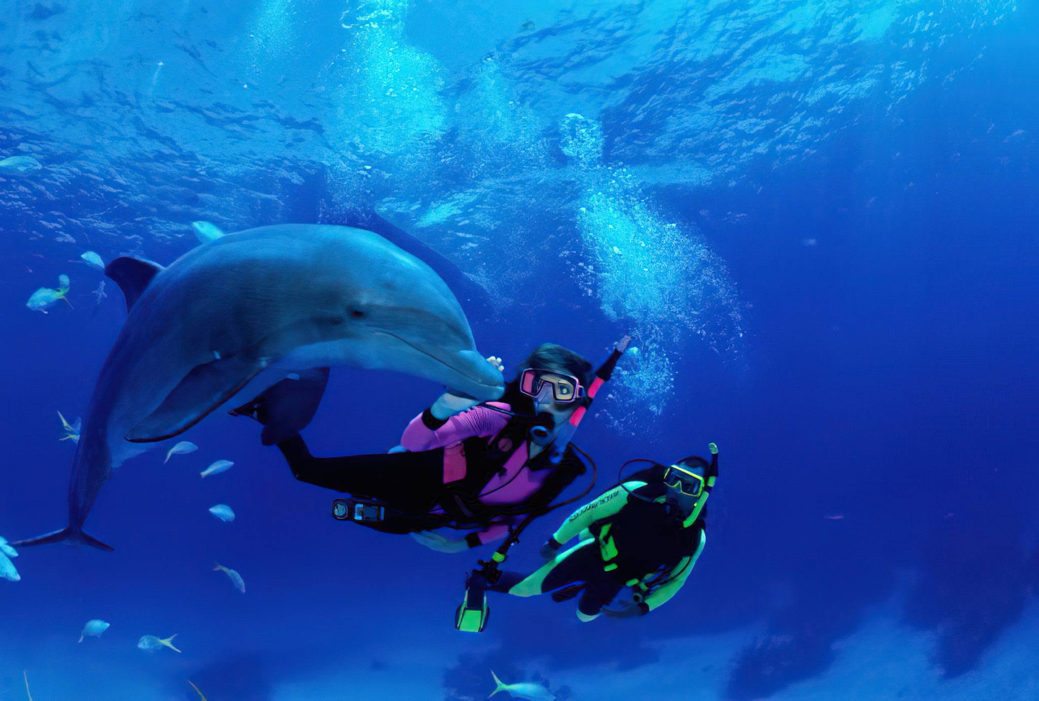 Diving in Zanzibar