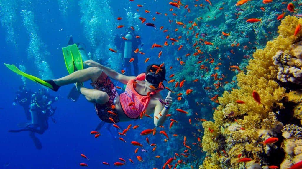 Snorkeling in Zanzibar